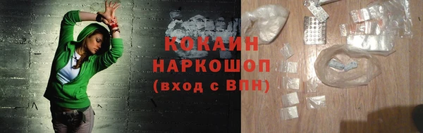 стафф Алексин