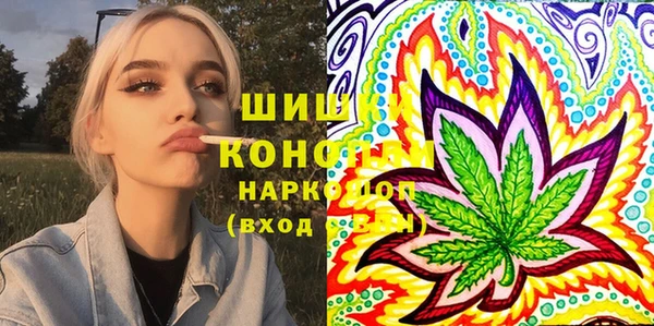 стафф Алексин